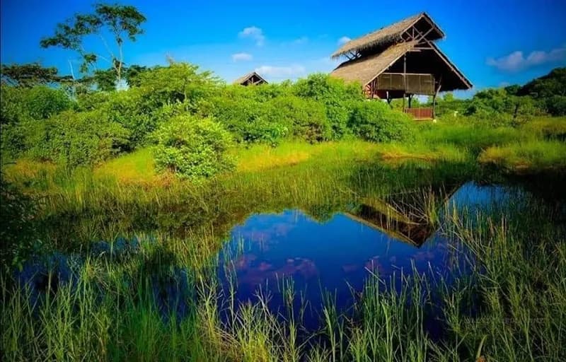 Diyasaru Park park in Battaramulla, WP