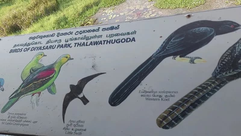 View of Diyasaru Park in Battaramulla, WP