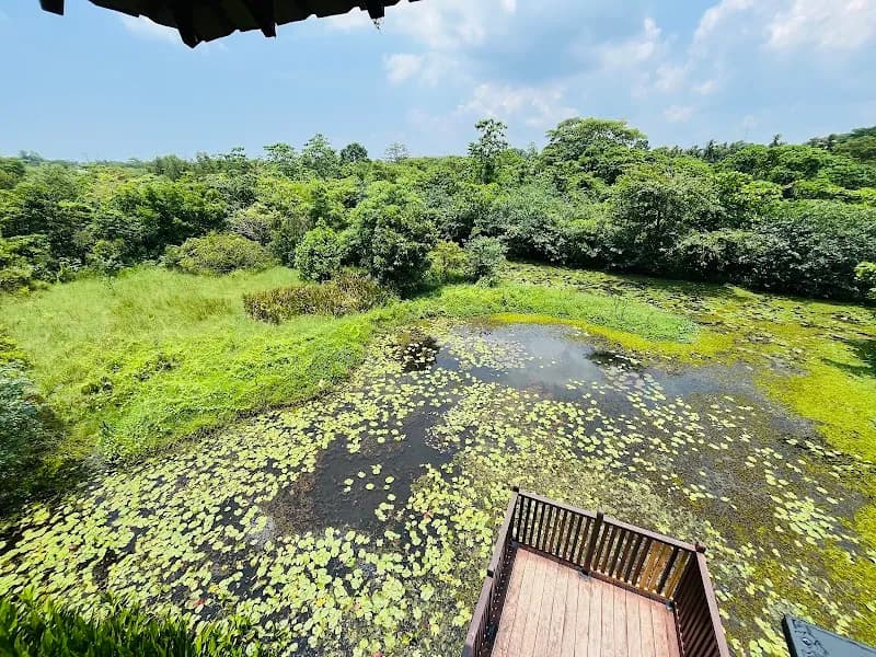 View of Diyasaru Park in Battaramulla, WP