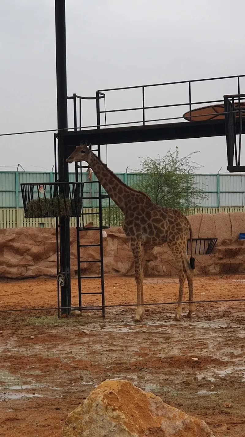 View of Doha Zoo in Doha, DOH