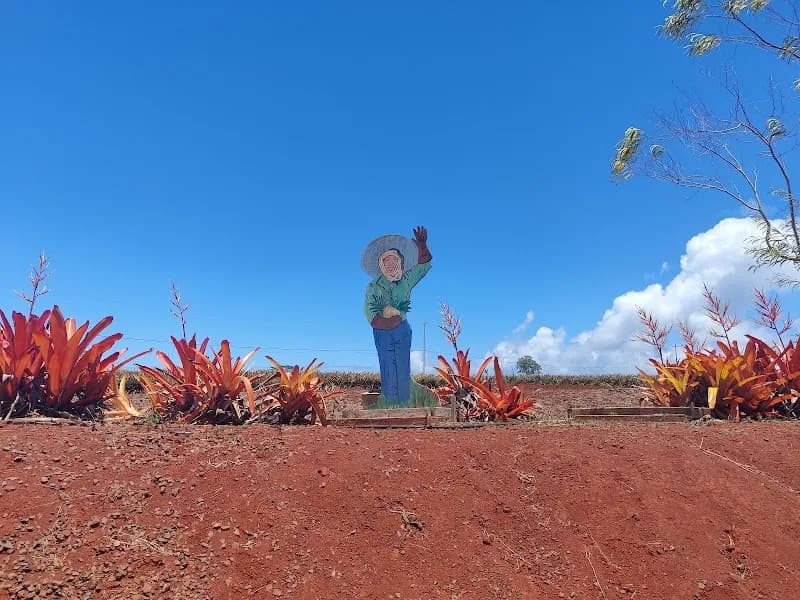 View of Dole Plantation in Haleiwa, HI