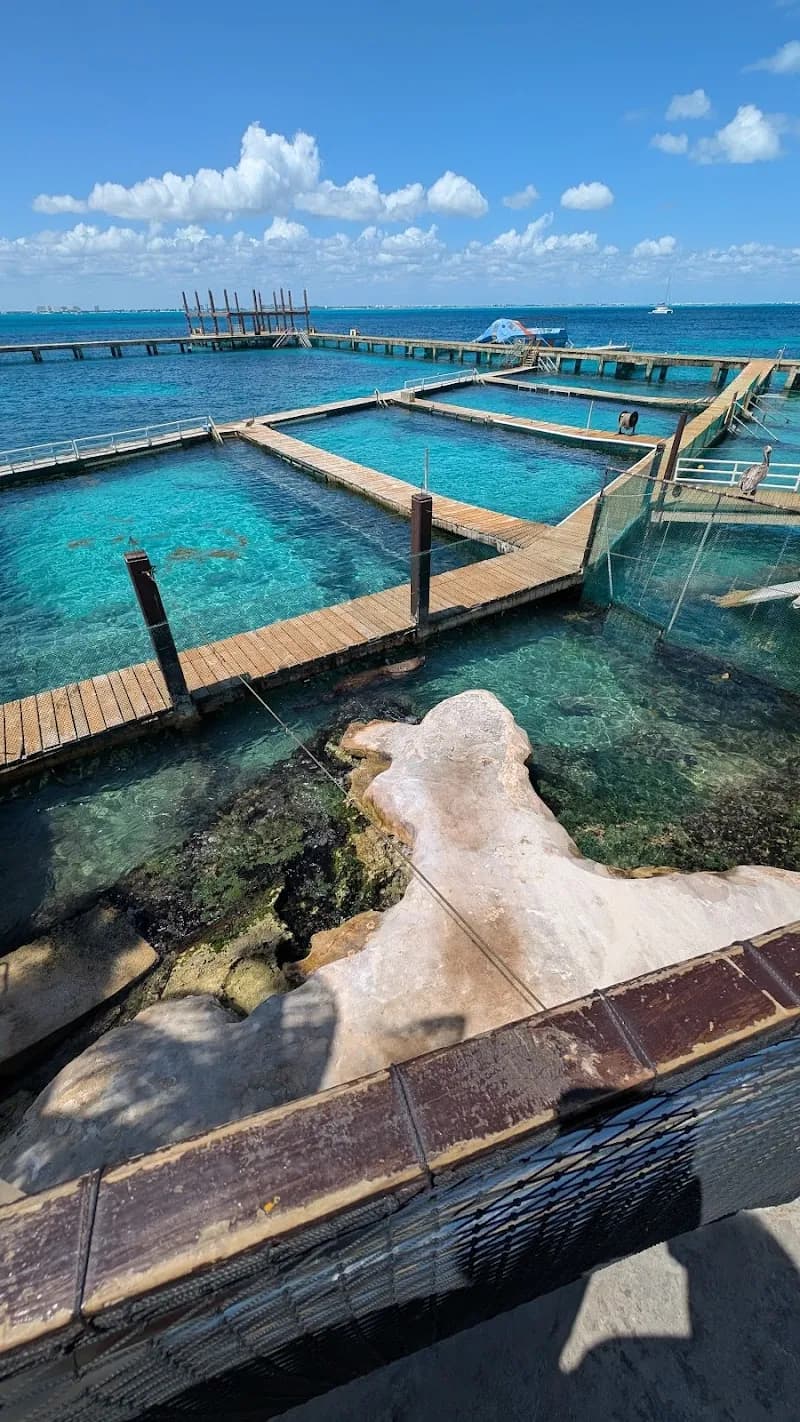 View of Dolphin Discovery Isla Mujeres in Isla Mujeres, QR