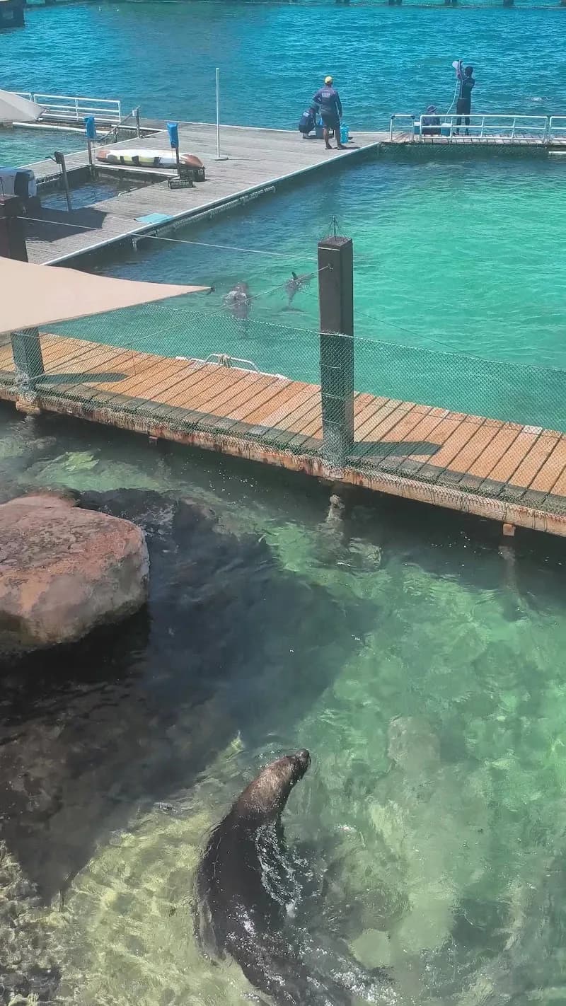 View of Dolphin Discovery Isla Mujeres in Isla Mujeres, QR