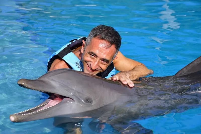 Dolphin Discovery Playa del Carmen aquarium in Playa del Carmen, QR