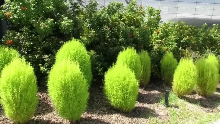 View of Dongdaemun Design Plaza (DDP) in Seoul, SEL