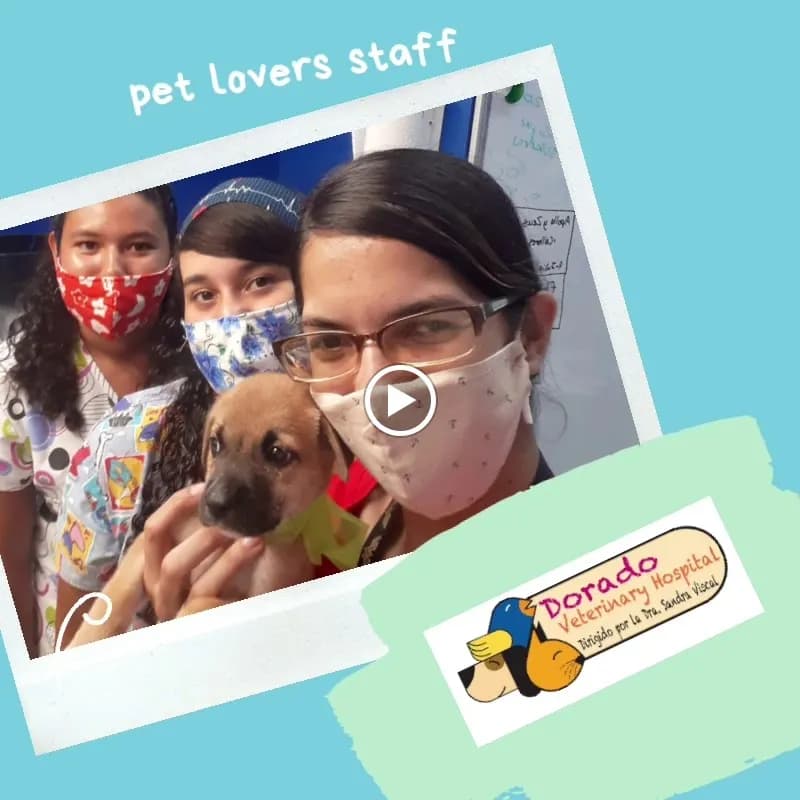 View of Dorado Pet Park in Dorado, PR