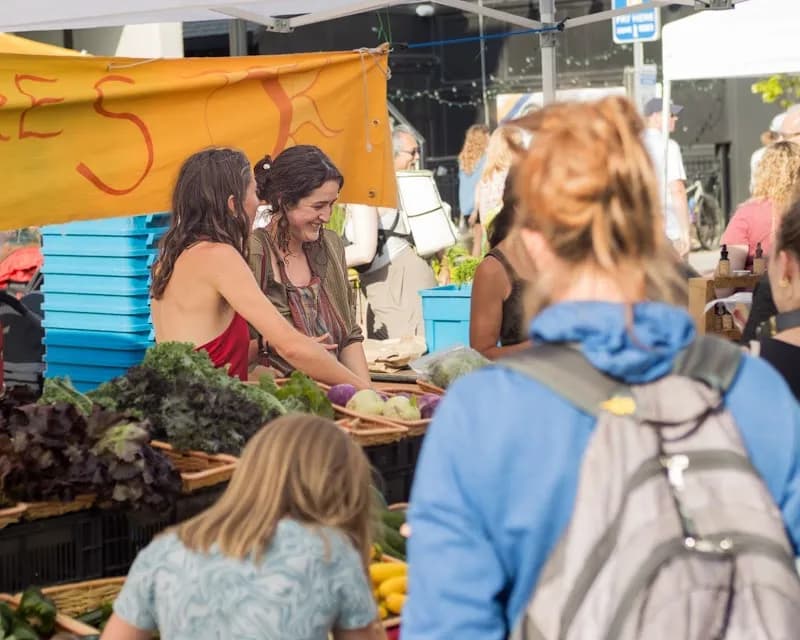 View of Downtown Marquette Farmers Market in Marquette, MI