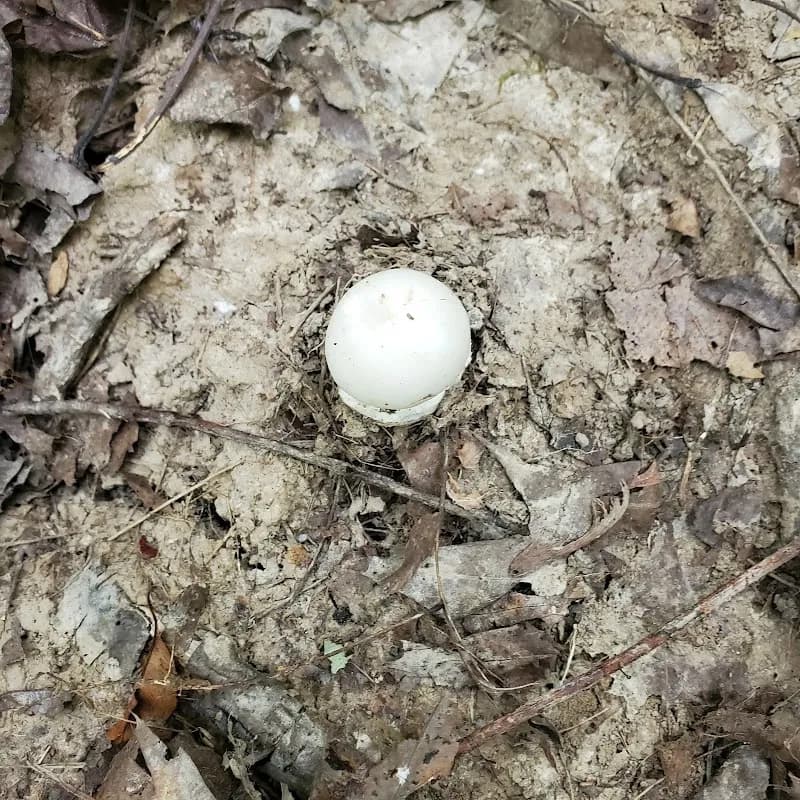 View of Drake Park in Indian Hill, OH