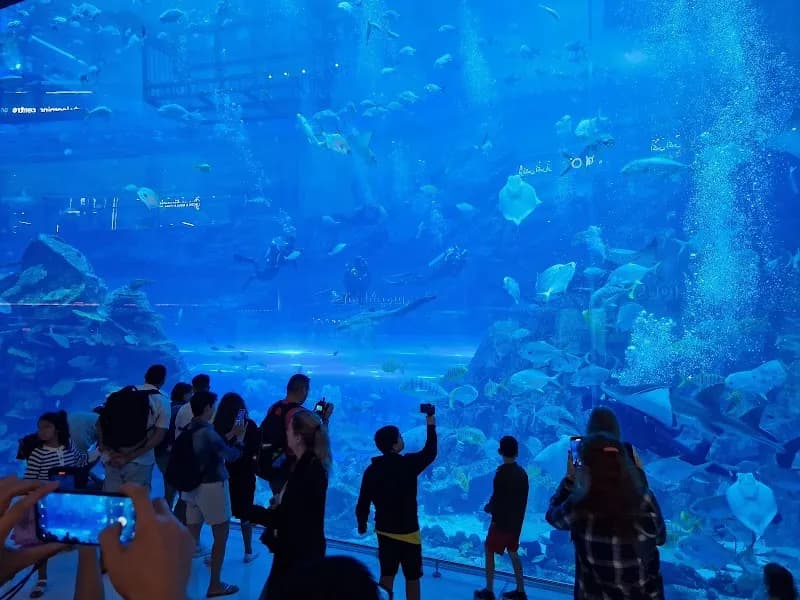 View of Dubai Aquarium & Underwater Zoo in Downtown Dubai, Dubai