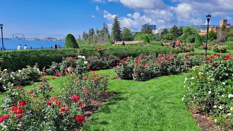 View of Duluth Rose Garden in Duluth, MN