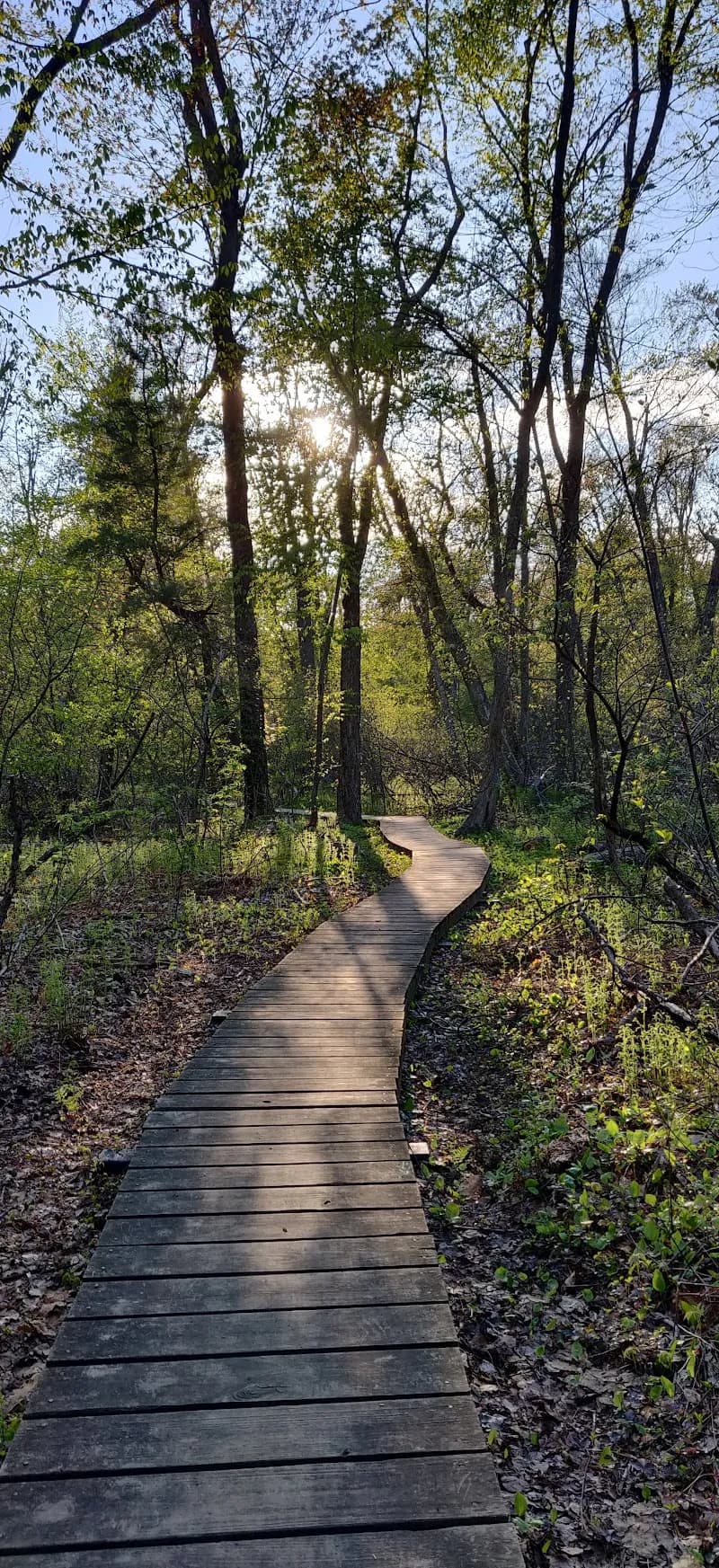View of Dunback Meadow in Lexington, MA