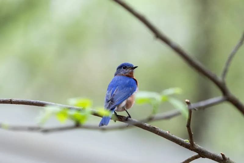 Dunwoody Nature Center park in Dunwoody, GA
