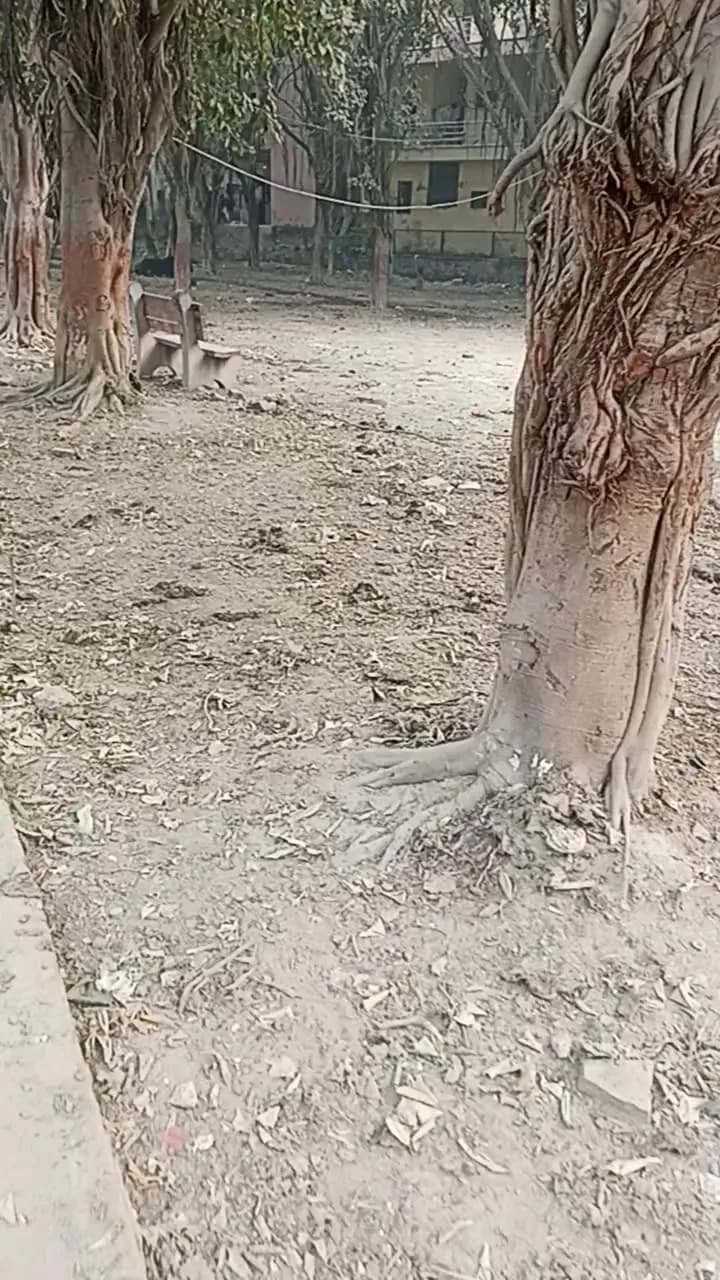 View of Dwarka Park in Dwarka, DL