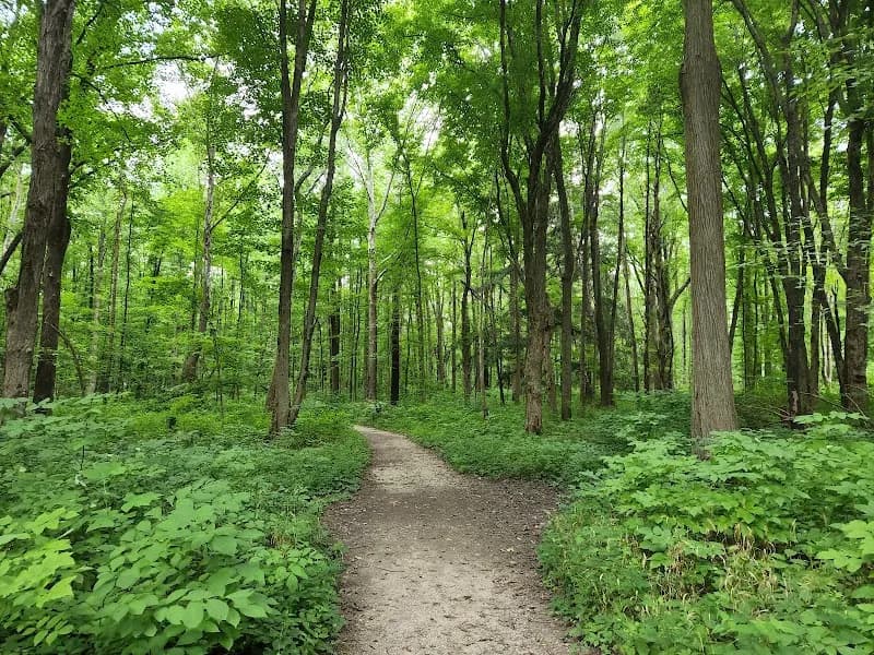 View of Eagle Creek Park in Indianapolis, IN