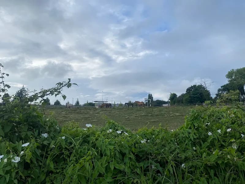 View of Ecocaminho da Maia in Maia Centro, Porto