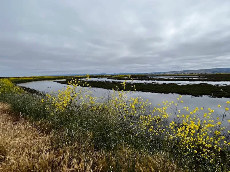 View of Eden Landing Ecological Reserve in Hayward, CA