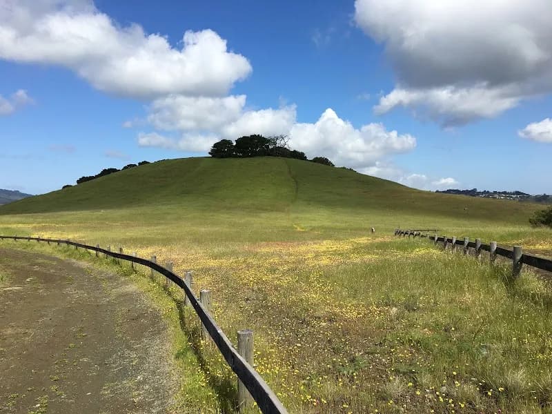 Edgewood Park & Natural Preserve park in Redwood City, CA