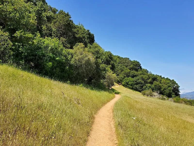 View of Edgewood Park & Natural Preserve in Redwood City, CA