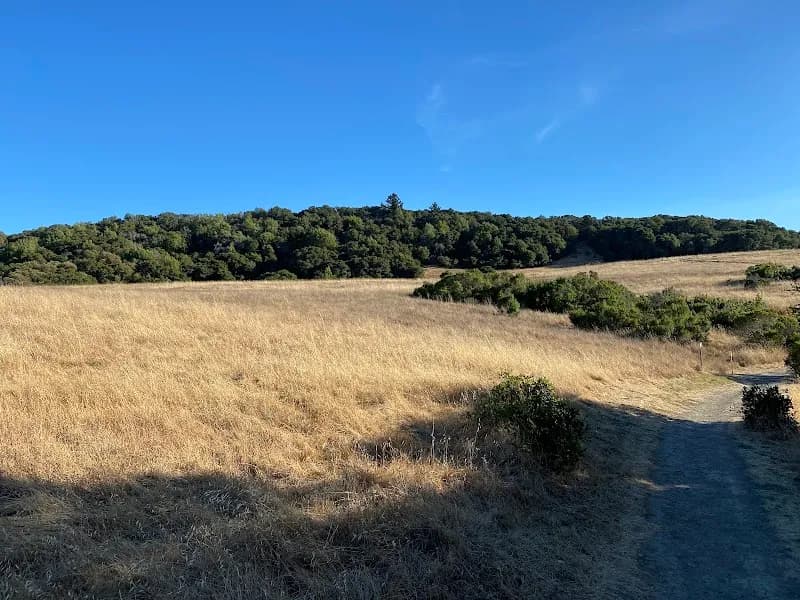 View of Edgewood Park & Natural Preserve in Redwood City, CA