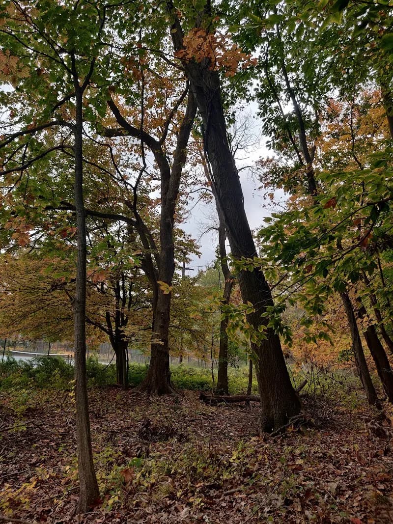 View of Edgewood Skate Park in Edgewood, NM