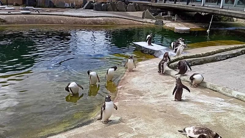 View of Edinburgh Zoo in Edinburgh, SCT
