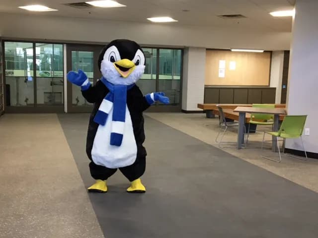 Edora Pool Ice Center (EPIC) ice skating rink in Fort Collins, CO