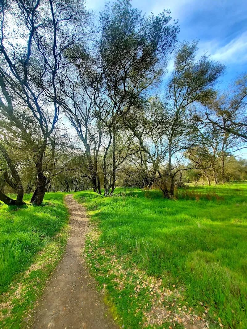 View of Effie Yeaw Nature Center in Arden-Arcade, CA