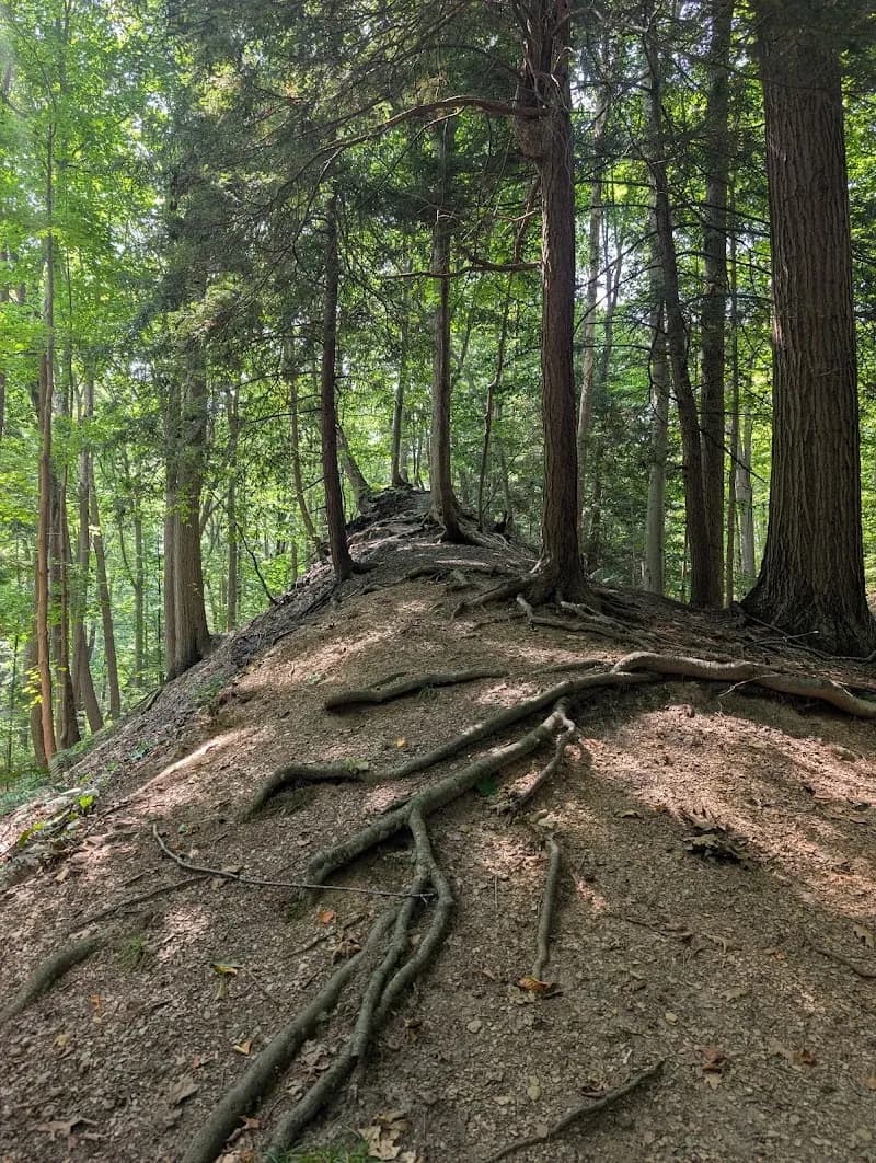 Eighteenmile Creek Conservation Park park in Hamburg, NY