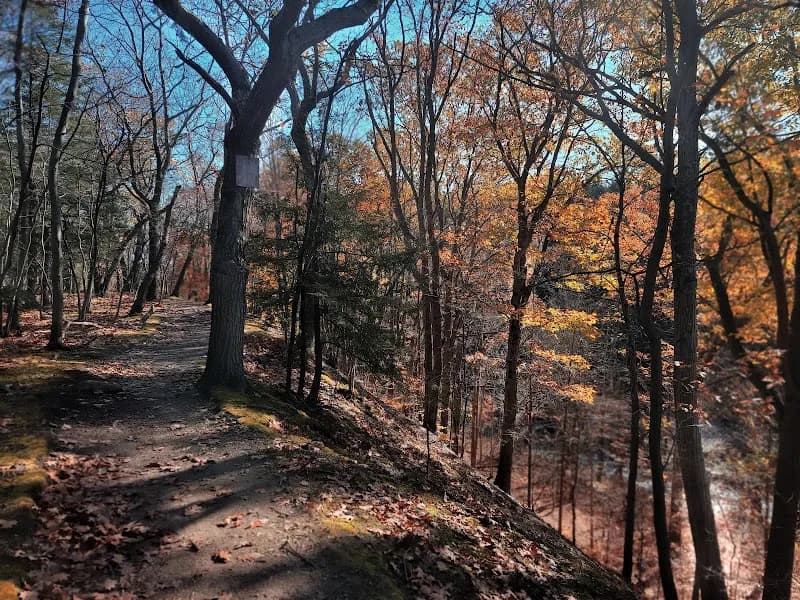 View of Eighteenmile Creek Conservation Park in Hamburg, NY