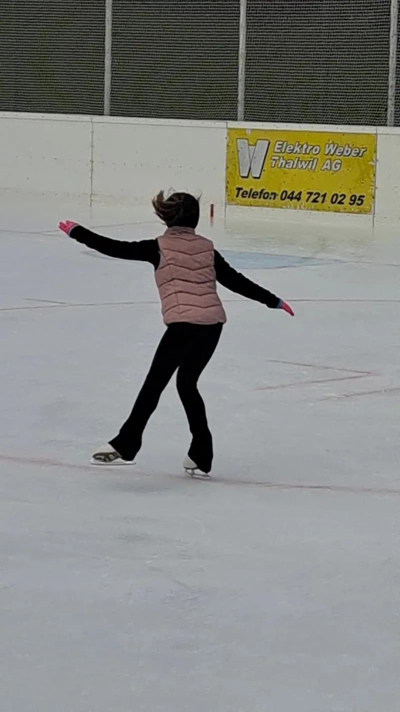 View of Eisbahn Brand in Adliswil, ZH