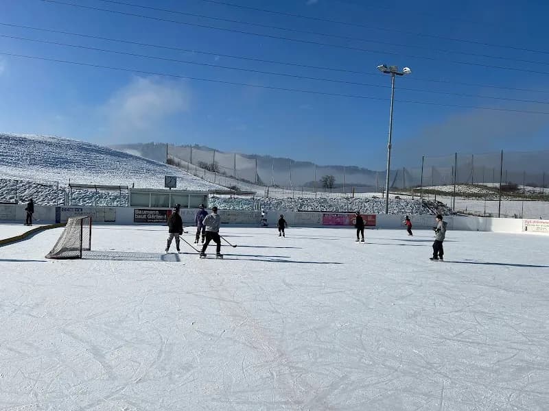 View of Eisbahn Brand in Adliswil, ZH