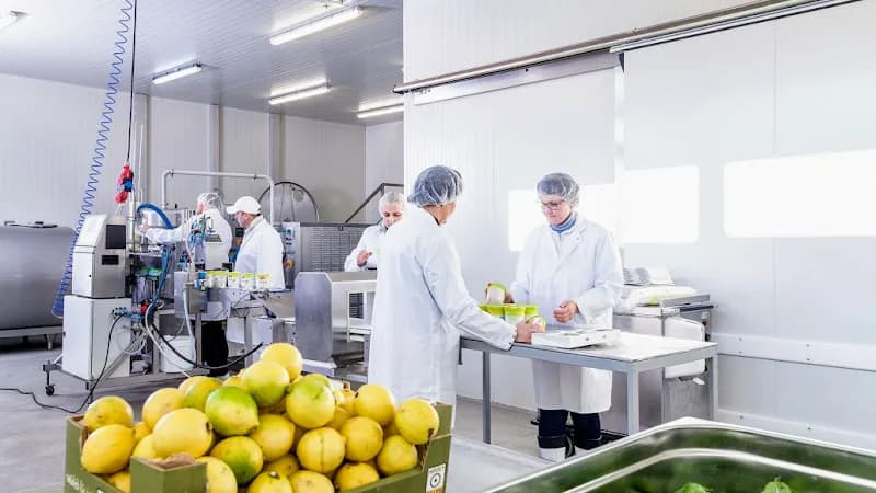 Eissalon Göming ice cream in Göming, Salzburg