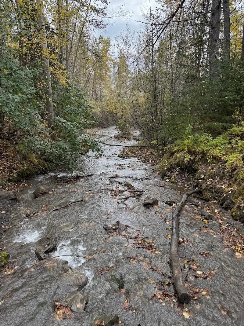 View of Eklutna Lakeside Trail in Anchorage, AK