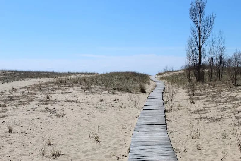 Elberta Beach (Ebeach) beach in Honor, MI
