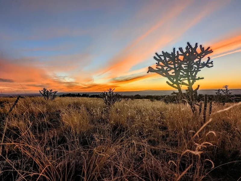 View of Elena Gallegos Open Space in Albuquerque, NM