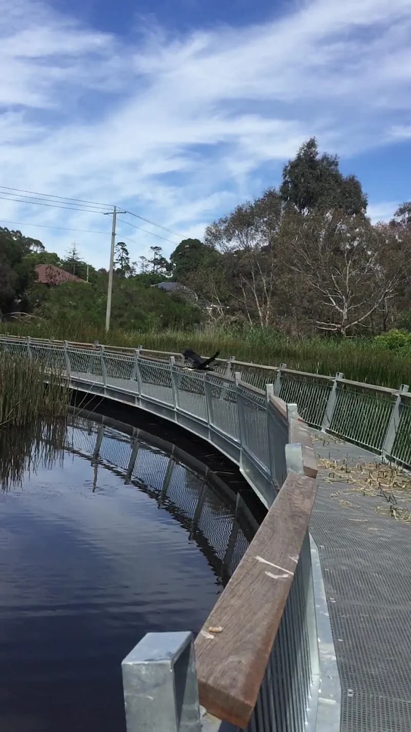 View of Elgar Park in Box Hill, VIC