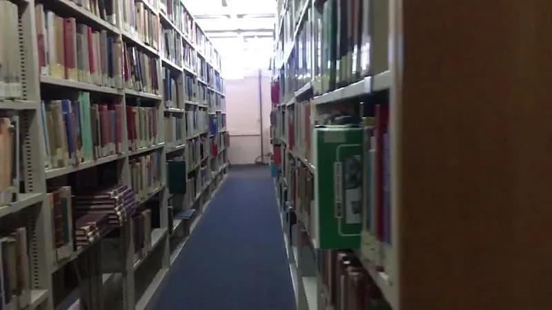 View of Elias Sourasky Central Library in Ramat Aviv, TA