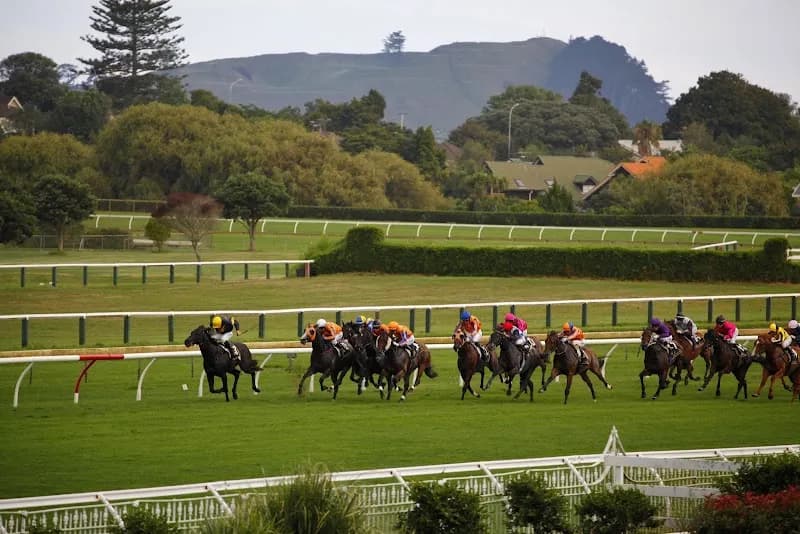 View of Ellerslie Racecourse in Ellerslie, AKL