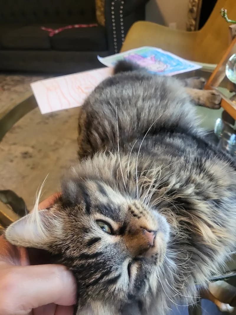 View of Elmbrook Humane Society in Brookfield, WI