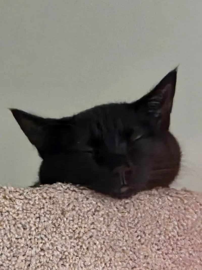 View of Elmbrook Humane Society in Brookfield, WI