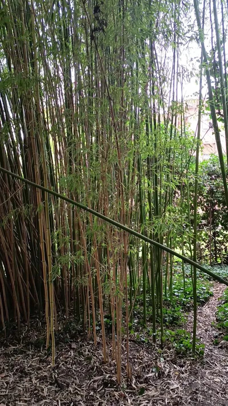 View of ELTE Füvészkert in Budaörs, Budapest