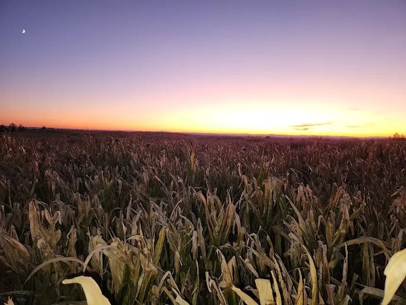 View of Elwood Orchards in Weare, NH
