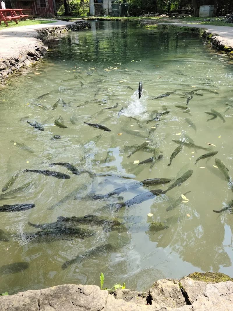 English Mountain Trout Farm ranch in Newport, TN