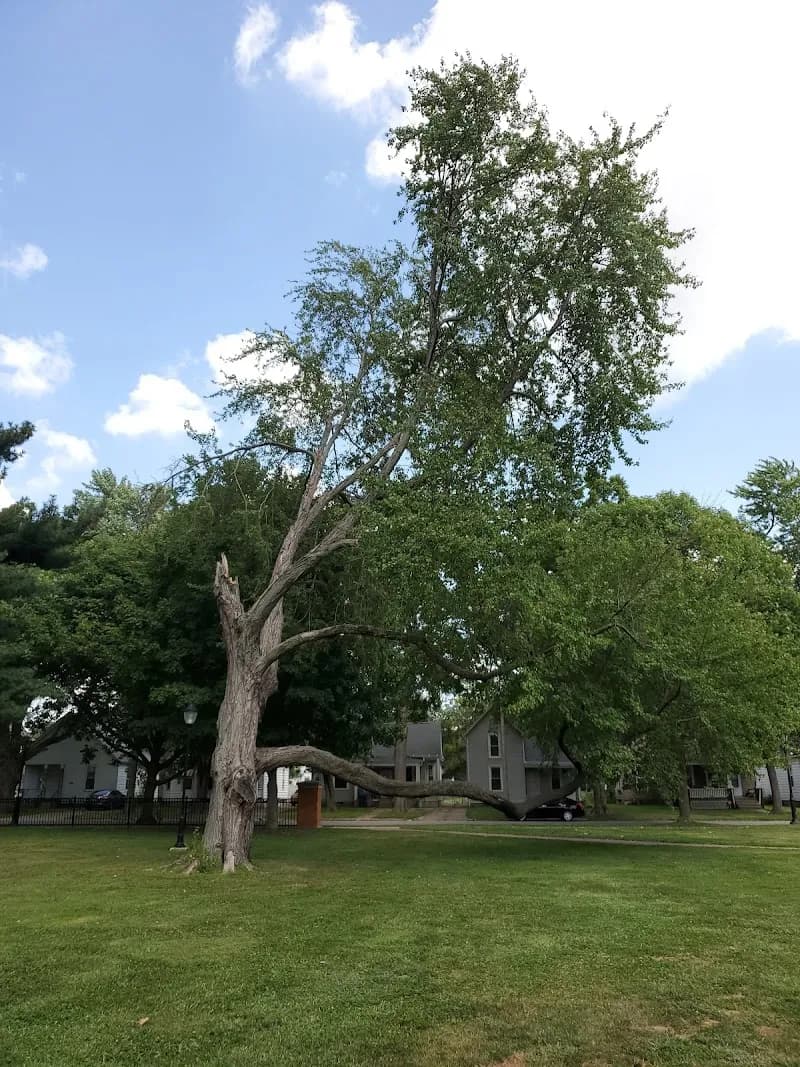 Enos Park neighborhood in Springfield, IL