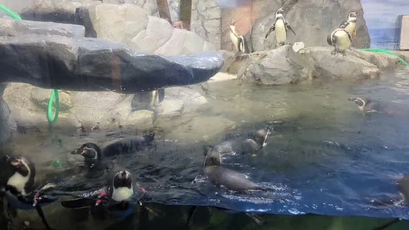 View of Enoshima Aquarium in Fujisawa, Kanagawa