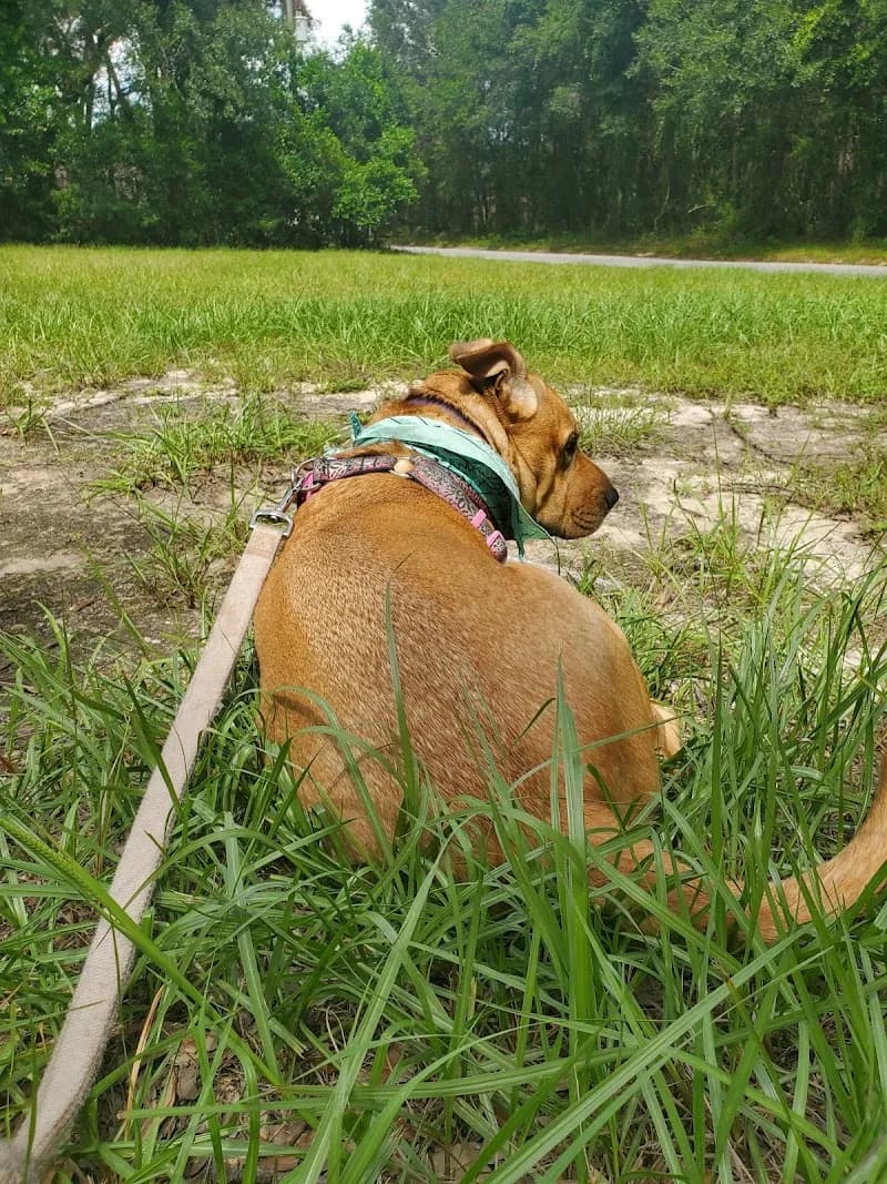 View of Ensley Field in Ensley, FL