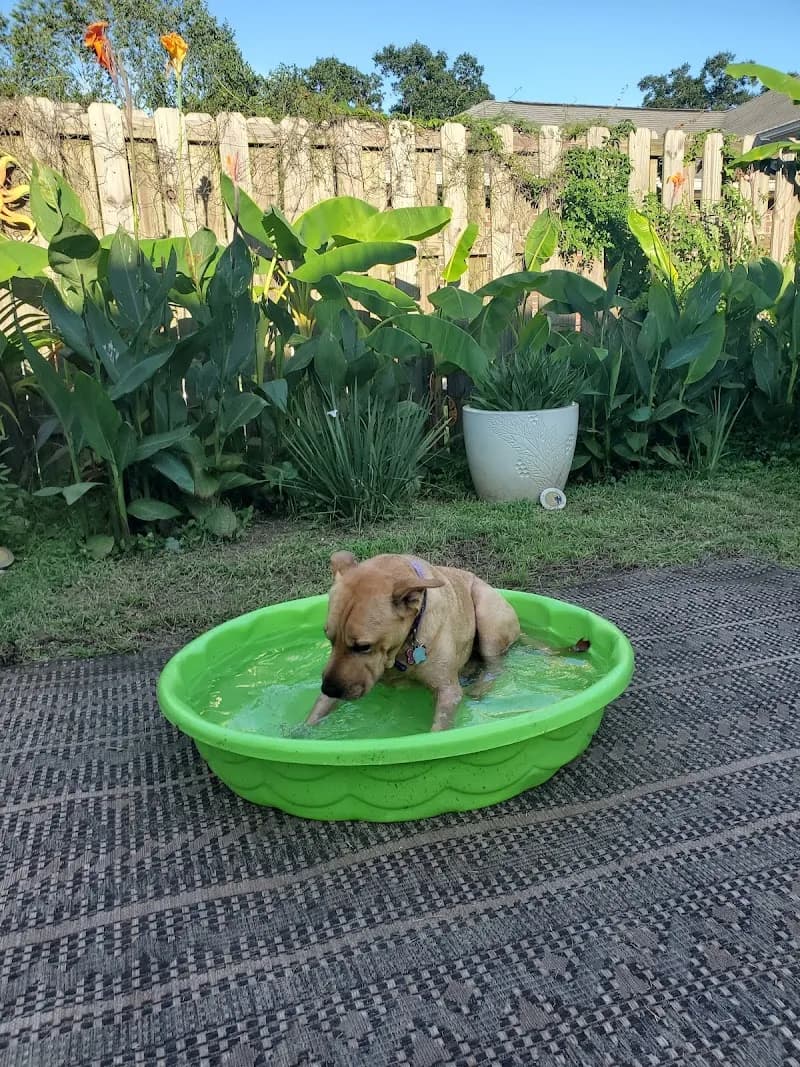View of Ensley Field in Ensley, FL