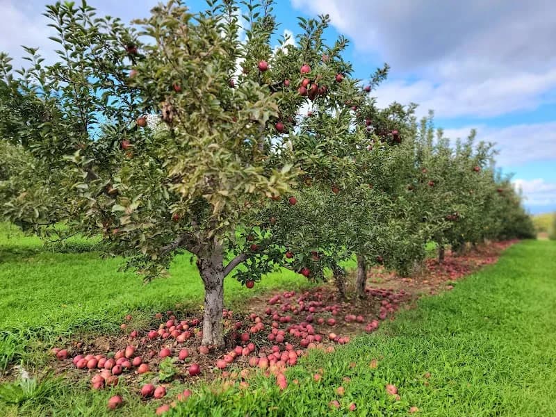 View of Erwin Orchards in West Bloomfield, MI