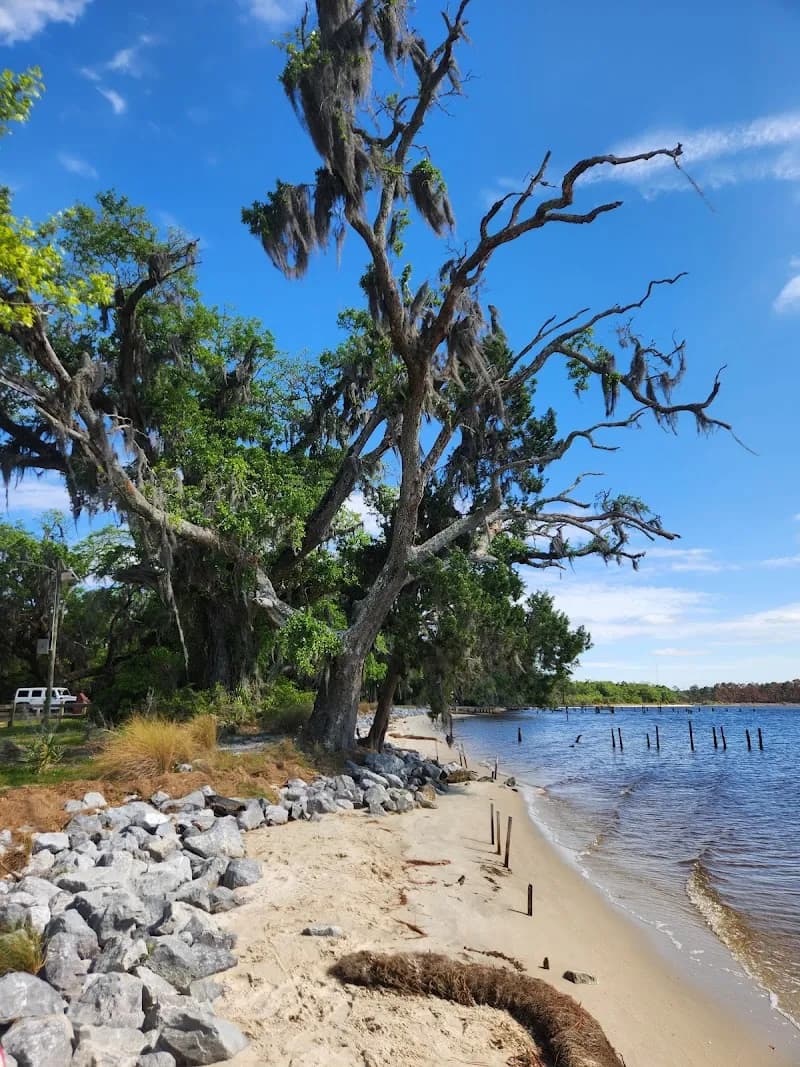 View of Escribano Point Wildlife Management Area in Pace, FL