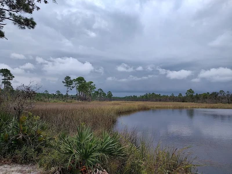 View of Escribano Point Wildlife Management Area in Pace, FL